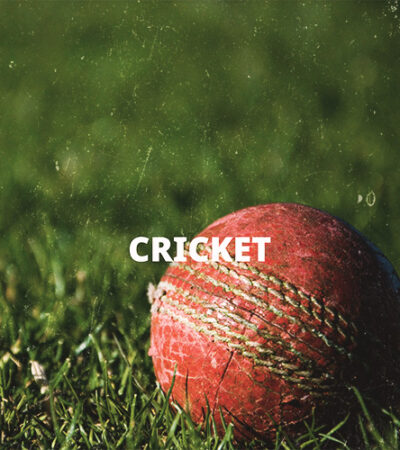 Cricket